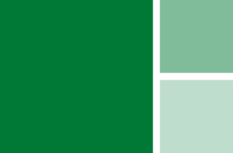 colours-corporate-schwabe-green-1440px
