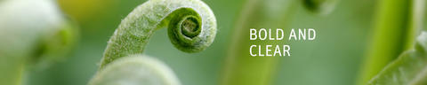 typography-header-3840x768px-5to1