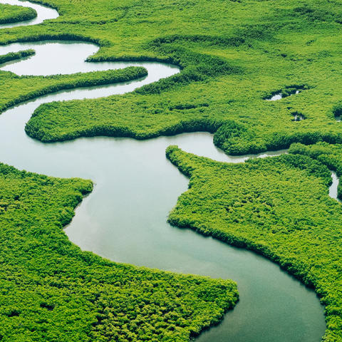brand-language-nature-1440px