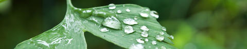 corporate-branding-header-3840x768px-5to1