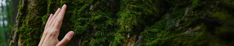 design-basics-header-3840x768px-5to1