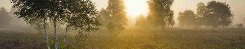 office-header-3840x768px-5to1