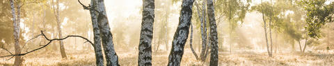 out-of-home-header-3840x768px-5to1