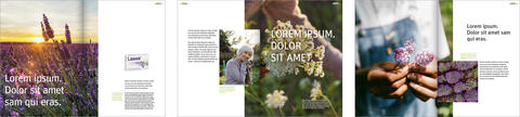 print-brochures-and-flyers-din-a4-inner-pages-entry-1920px