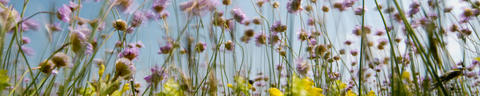 print-header-3840x768px-5to1